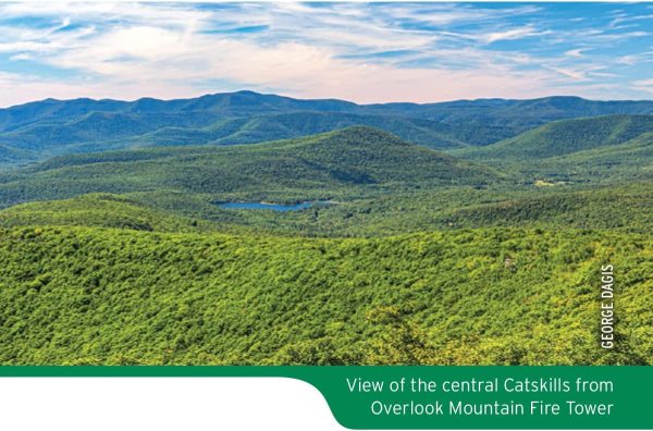 Catskill Trails Map, 2023: Catskill Forest Preserve - Image 4